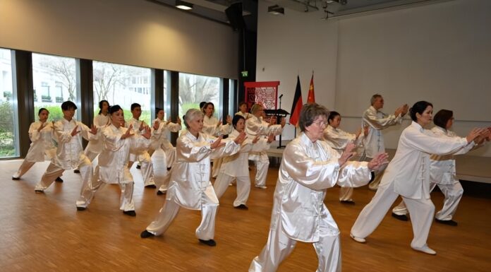 柏林中国文化中心举办首个“国际太极拳日”主题活动
