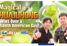 厄瓜多尔留学生与全国人大代表,共同种下化橘红“国际树”|iSeeChina