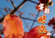 视频|穿越时空的对话:你好“十五五”