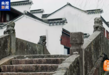 家国永念|南粤英魂,薪火永传