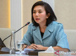 印尼考虑允许美国飞行器飞越领空? 外交部:提案尚未生效