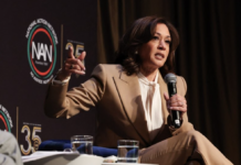 哈里斯暗示2028再参选美国总统