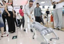 【视频】科技广货让他舍不得走!“跨国求糖”的米兰小哥中国行在深圳收官