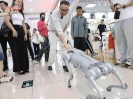 【视频】科技广货让他舍不得走!“跨国求糖”的米兰小哥中国行在深圳收官