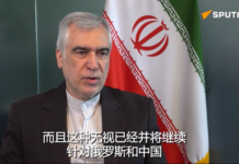 伊朗议员:国际社会应让俄中发挥领导作用,对抗特朗普非理性行为