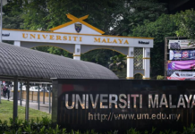 日生留学选择 马泰取代西方