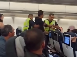 马航MH318航班乘客疑似拍打空姐臀部被带离 官方展开全面调查