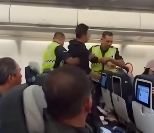 马航MH318航班乘客疑似拍打空姐臀部被带离 官方展开全面调查