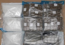 携7公斤毒品入境狮城 大马男子被捕