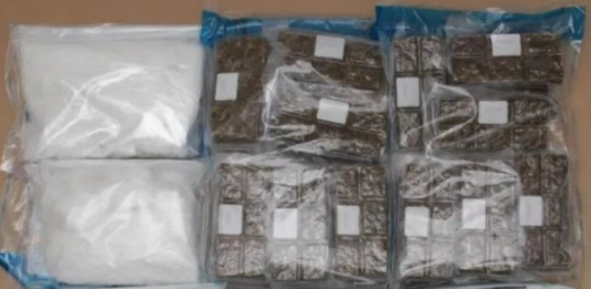 携7公斤毒品入境狮城 大马男子被捕