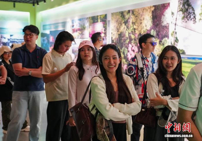 中国侨网4月13日，参加澜湄之约青春行——泰国华裔青年企业家西双版纳交流营的泰国嘉宾，走进位于云南西双版纳州景洪市的西双版纳州铸牢中华民族共同体意识主题教育馆，了解当地各民族交往交流交融的历史。图为泰国嘉宾在参观。中新社记者 刘冉阳 摄　　