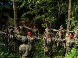 菲律宾军方反叛乱行动击毙19名武装分子 含2名美国籍人士