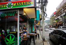 泰国全面收紧大麻政策 商店须转型诊所