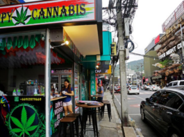 泰国全面收紧大麻政策 商店须转型诊所