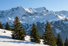 情侣瑞士雪山忘情激战被直播