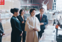 独家视频丨彭丽媛同越共中央总书记、国家主席夫人吴芳璃参观中国国家大剧院