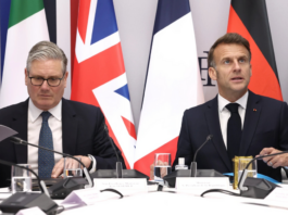 英法牵头开展国际行动 维护霍峡航行自由