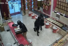 大马金店遭持枪洗劫 970万令吉金饰被抢