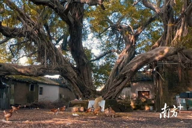 受访者供图