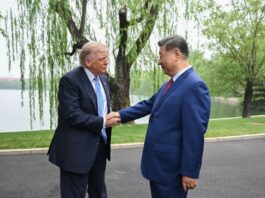 华侨华人:稳定的中美关系利及全球