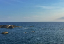 美智库:越南在南海争议岛礁填海造地新增数百英亩