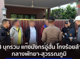 4名中国籍诈骗嫌犯在泰国落网 涉案超1800万元将被遣返