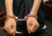 趁女同事醉酒熟睡偷拍不雅影片 前空少认罪获刑 4 个月两周