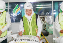 东爪哇糖产量创10年新高 政府与业界看好今年实现全国食糖自给