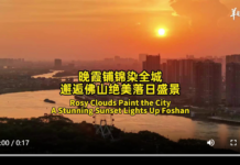 【大美广东·中印尼双语】(Bilingual Cina dan Indonesia)霞铺锦染全城!邂逅佛山绝美落日盛景