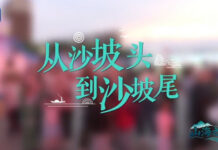 山海之间︱从沙坡头到沙坡尾
