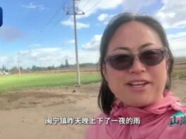 山海之间丨沙海飘出蔬果香 “南果北种”铺就致富路