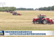 视频丨习近平总书记在山东德州考察引发热烈反响
