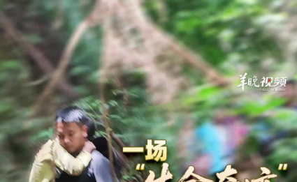 一群人的坚持带来生命奇迹!独家回顾“肇庆男童走失13天获救”事件