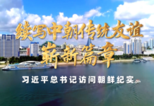 时政纪录片丨续写中朝传统友谊崭新篇章——习近平总书记访问朝鲜纪实