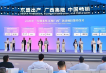 东盟水果经广西“极速鲜达”中国 通关效率提升逾30%