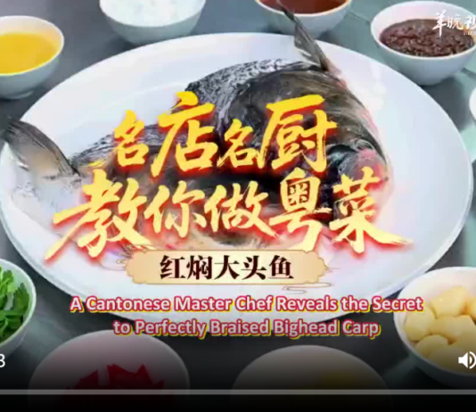 【大美广东·中印尼双语】(Bilingual Cina dan Indonesia)跟着粤菜名厨,解锁万绿湖大头鱼地道焖法