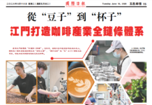 【五邑乡情】从“豆子”到“杯子” 江门打造咖啡产业全链条体系