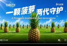 【大美广东·中印尼双语】(Bilingual Cina dan Indonesia)一颗菠萝 两代守护 | 大美岭南·行看百千万