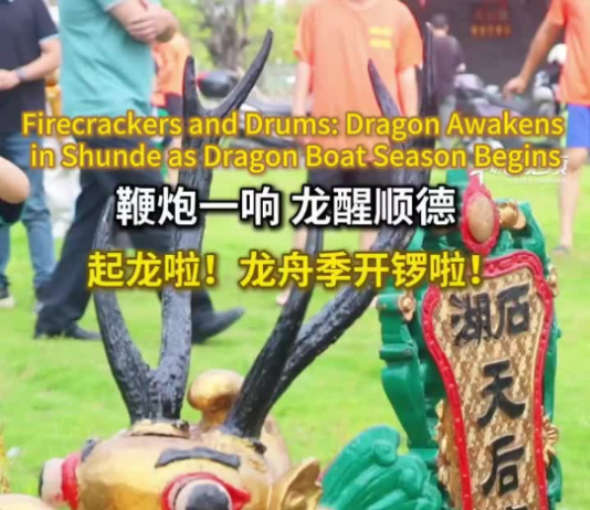 【大美广东·中印尼双语】(Bilingual Cina dan Indonesia)龙醒顺德!大良新滘80岁“老龙”出水!
