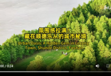 【大美广东·中印尼双语】(Bilingual Cina dan Indonesia)城市美学|藏在顺德乐从的城市秘境
