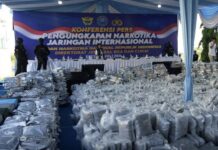 全球多地接连破获大麻走私案 毒品源头均指向泰国