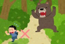“怕熊假”出炉!日本多地学校因应熊患频频而推出