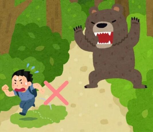 “怕熊假”出炉!日本多地学校因应熊患频频而推出