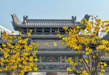 【大美广东·中印尼双语】(Bilingual Cina dan Indonesia)广州黄埔600年古村,藏着你向往的“诗与远方”