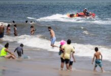 纽约海滩发生鲨鱼袭击事件 游客脚部受伤无生命危险