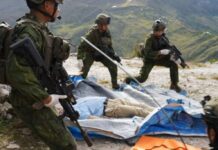 巴布亚分离武装枪杀美国飞行员 纵火烧毁民用飞机