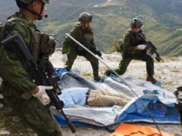 巴布亚分离武装枪杀美国飞行员 纵火烧毁民用飞机