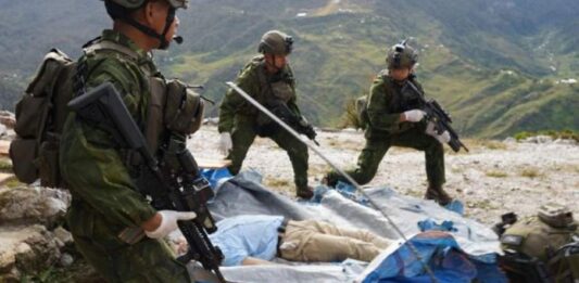 巴布亚分离武装枪杀美国飞行员 纵火烧毁民用飞机