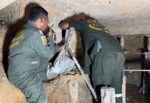 155年古寺翻修惊现女性骸骨 警方推测或为昔日建寺善信