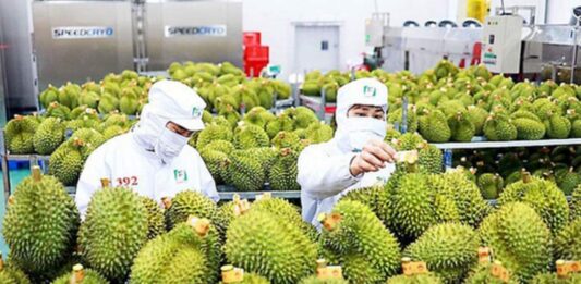 涉伪造榴梿输华认证 越南农环部副部长等4官员被捕